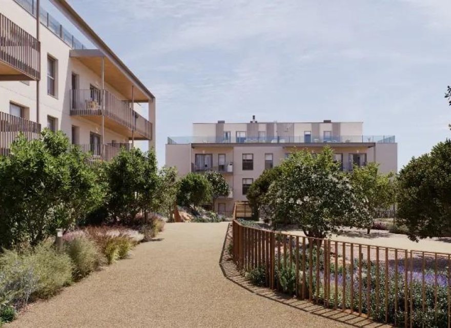 Obra nueva - Apartamento - Godella - Campolivar