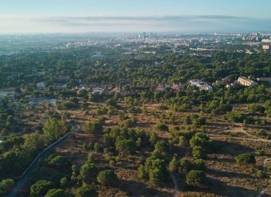 Obra nueva - Apartamento - Godella - Campolivar