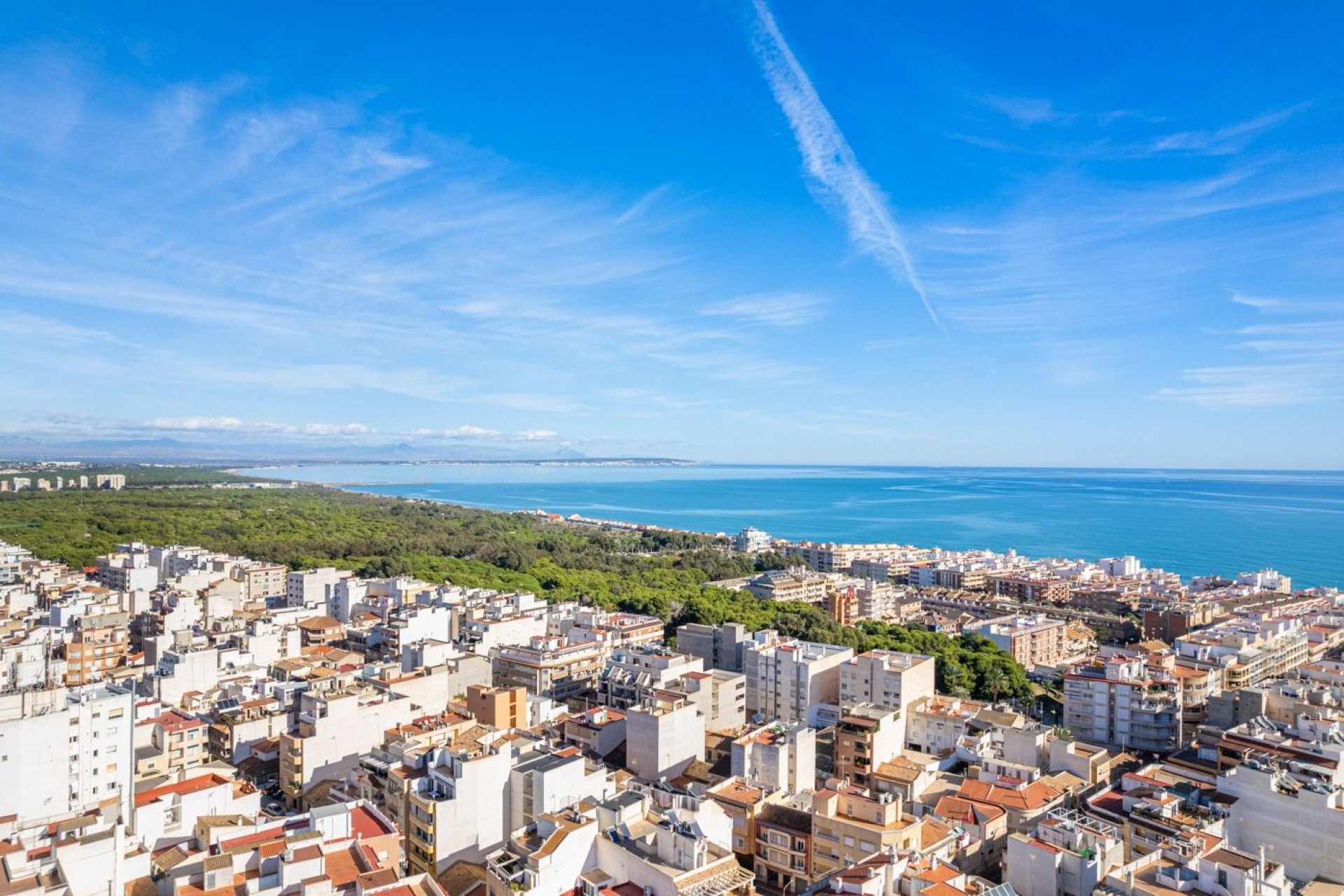 Obra nueva - Apartamento - Guardamar del Segura - Centro