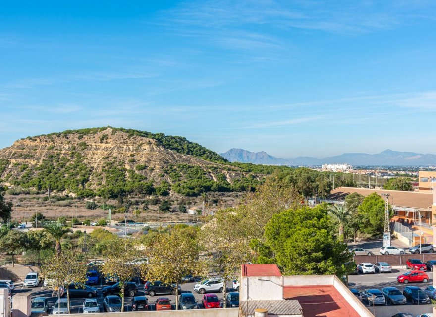 Obra nueva - Apartamento - Guardamar del Segura - Centro