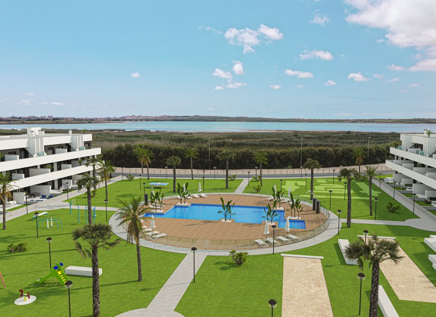 Obra nueva - Apartamento - Guardamar del Segura - Guardamar Del Segura