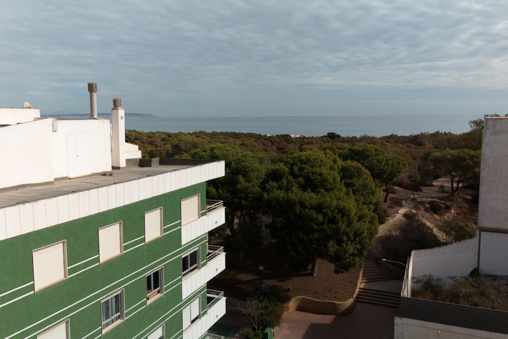 Obra nueva - Apartamento - Guardamar del Segura - Guardamar Del Segura