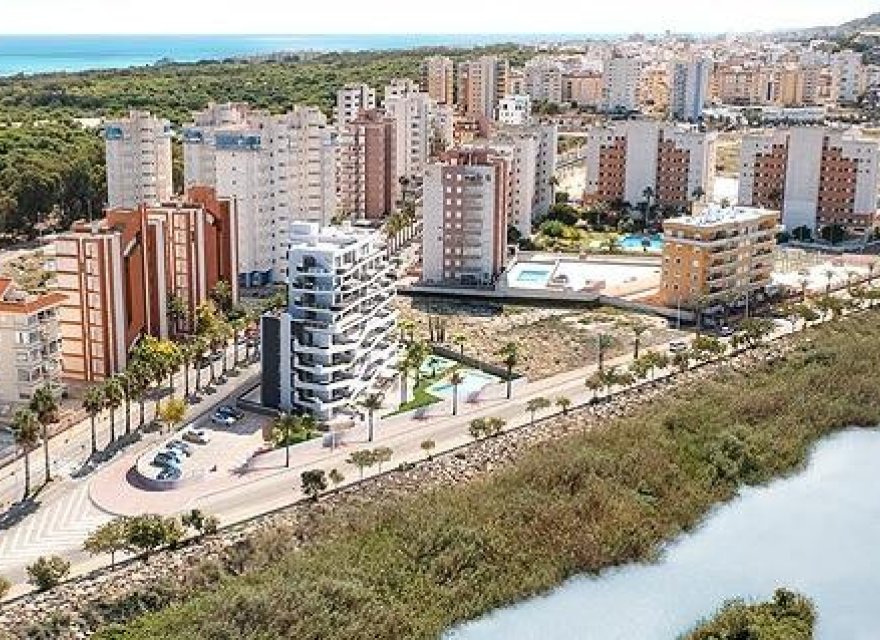 Obra nueva - Apartamento - Guardamar del Segura - Puerto