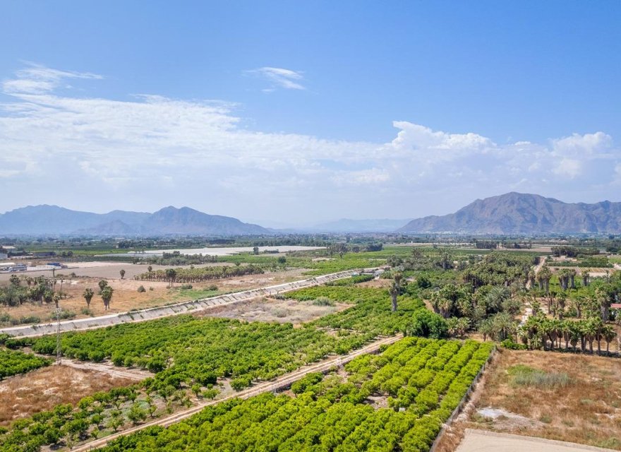 Obra nueva - Apartamento - Jacarilla - pueblo