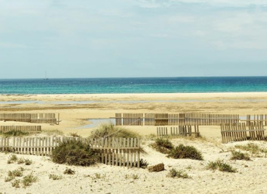 Obra nueva - Apartamento - La Manga