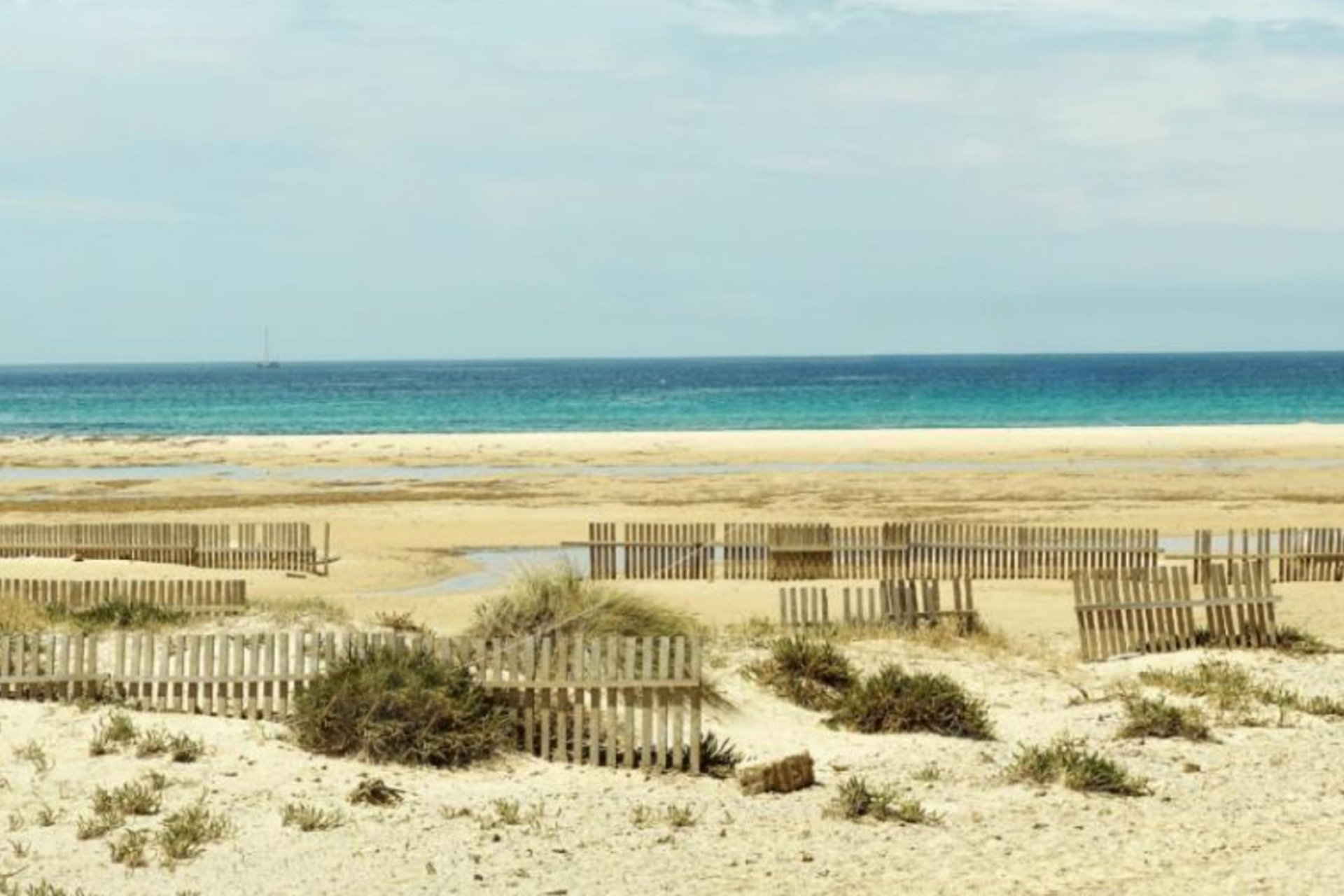 Obra nueva - Apartamento - La Manga