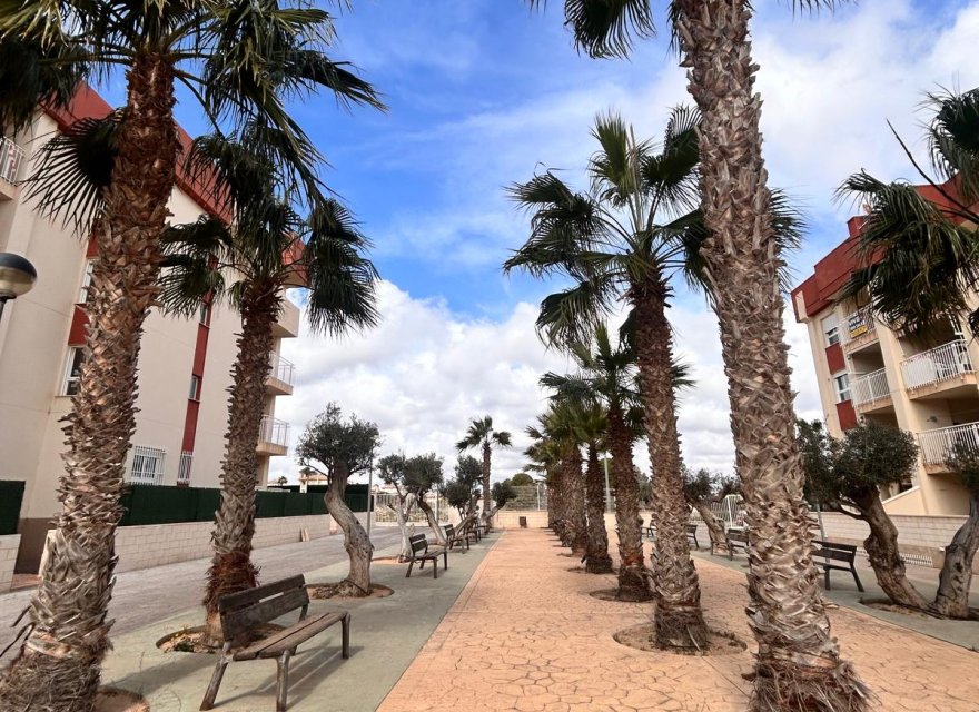 Obra nueva - Apartamento - Orihuela Costa