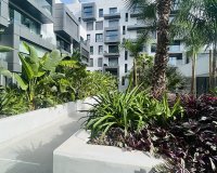 Obra nueva - Apartamento - Palma de Mallorca - Palma