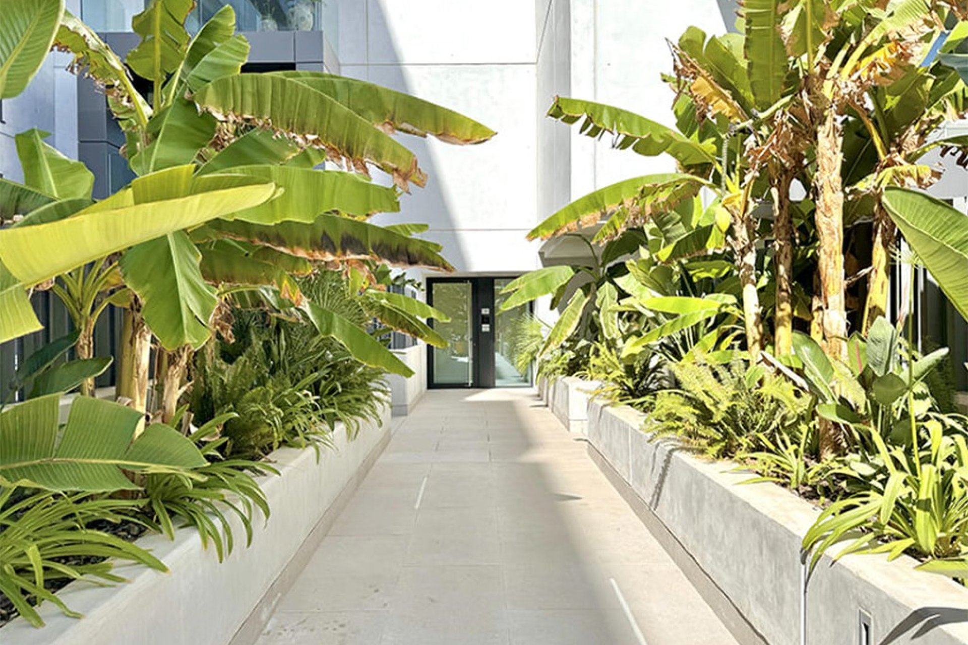 Obra nueva - Apartamento - Palma de Mallorca - Palma