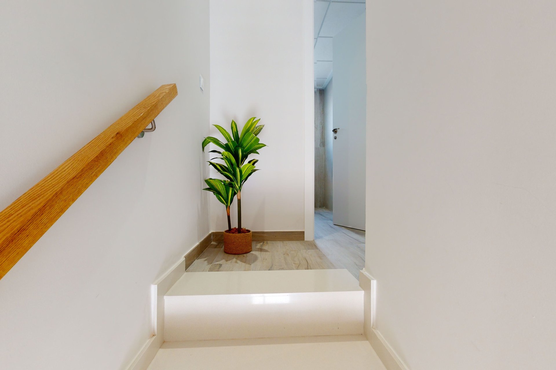 Obra nueva - Apartamento - Pilar de la Horadada