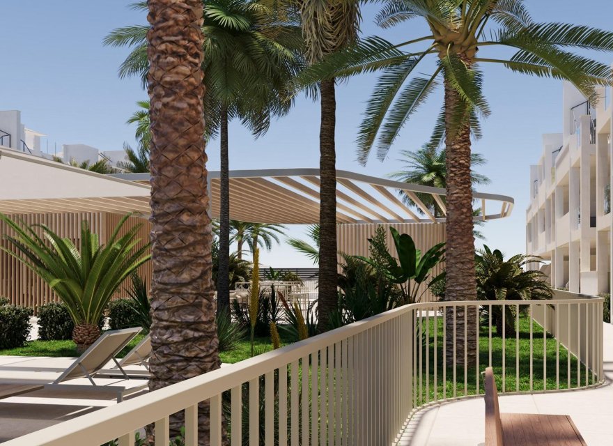 Obra nueva - Apartamento - Torre Pacheco - San Cayetano