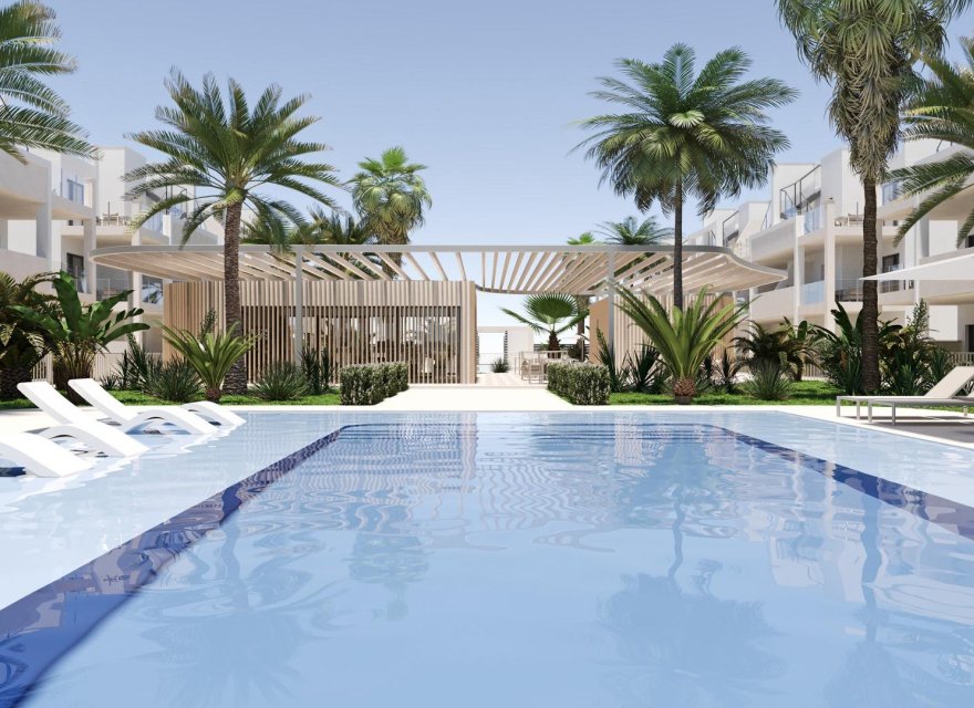 Obra nueva - Apartamento - Torre Pacheco - San Cayetano