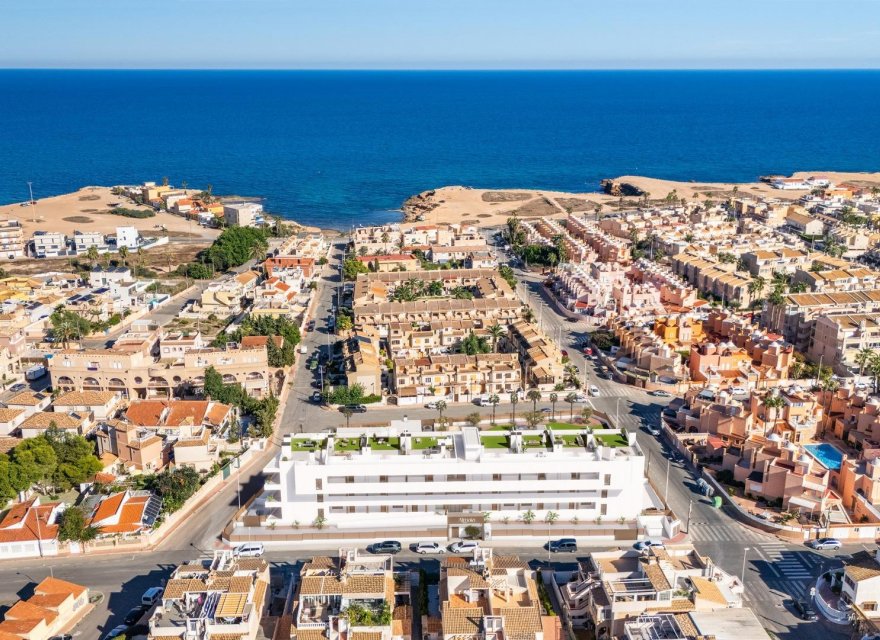 Obra nueva - Apartamento - Torrevieja - Los Frutales