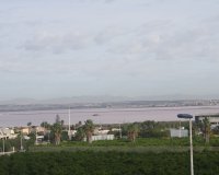 Obra nueva - Apartamento - Torrevieja