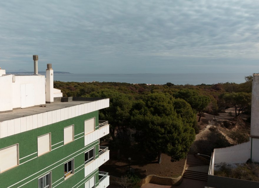Obra nueva - Bungalow - Guardamar del Segura - Guardamar Del Segura
