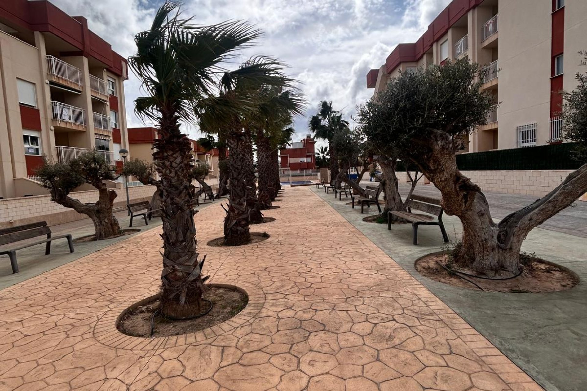 Obra nueva - Bungalow - Orihuela Costa