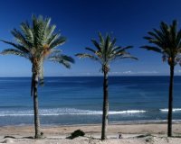 Obra nueva - Bungalow - Pilar de la Horadada - Parque Ramon eugenio Escudero