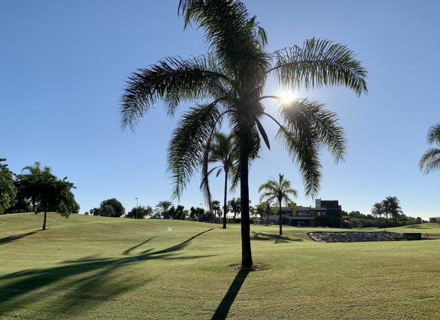 Obra nueva - Bungalow - San Javier - Roda Golf