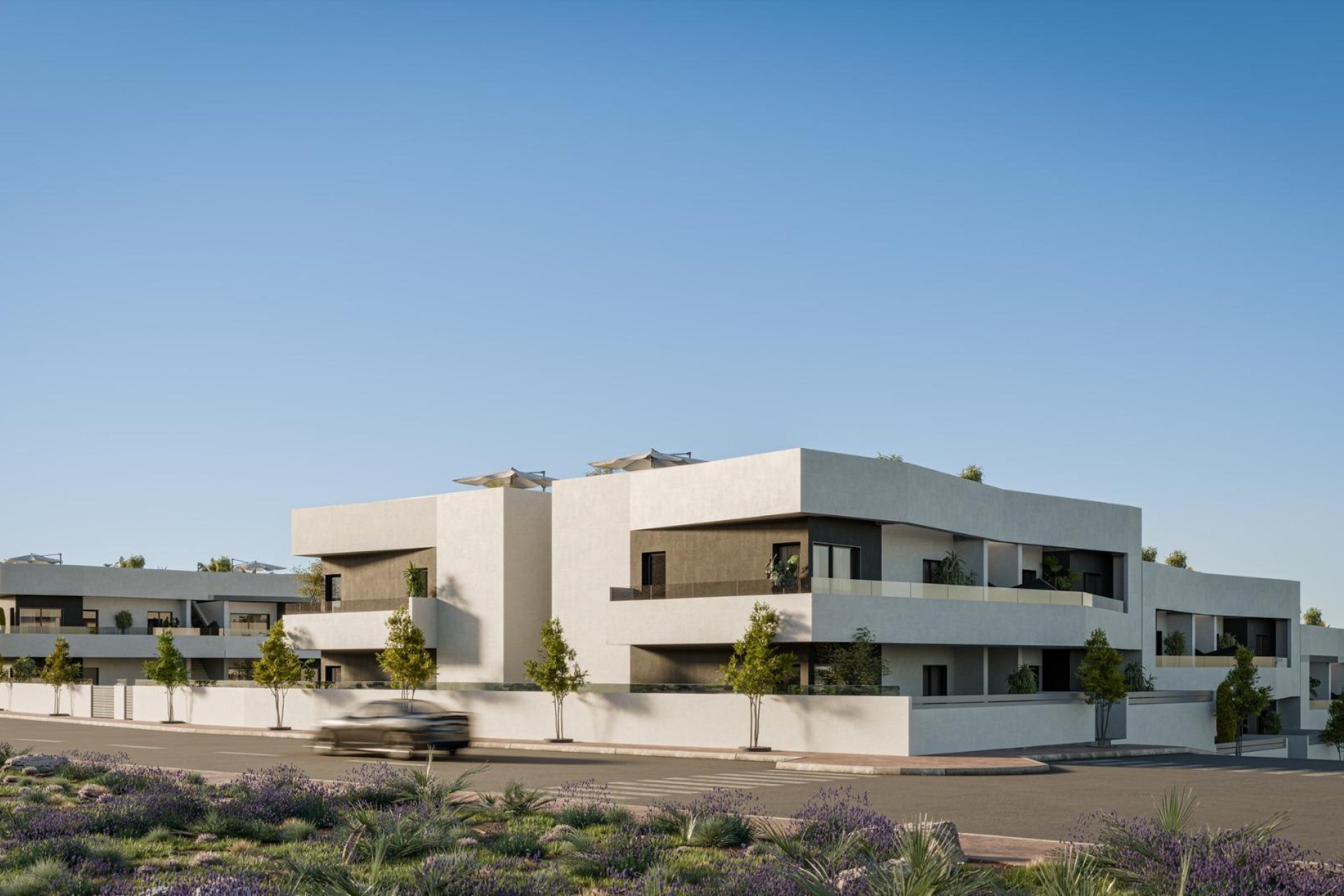 Obra nueva - Bungalow - San Miguel de Salinas - Pueblo