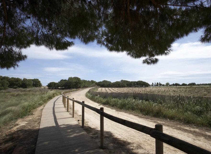 Obra nueva - Bungalow - Torrevieja - Altos del Sol