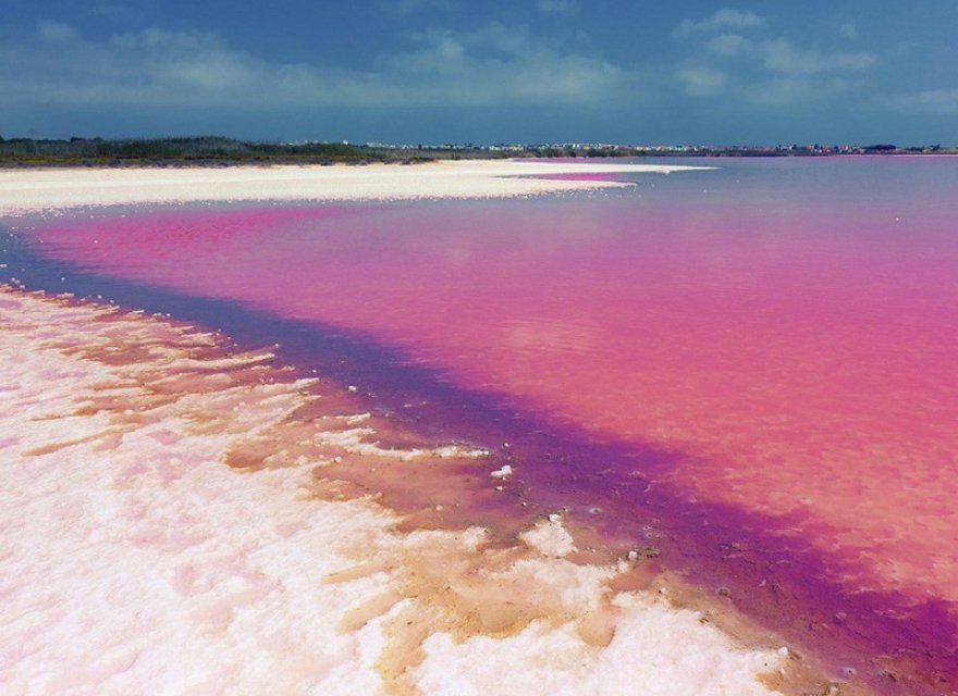 Obra nueva - Bungalow - Torrevieja - Los Balcones