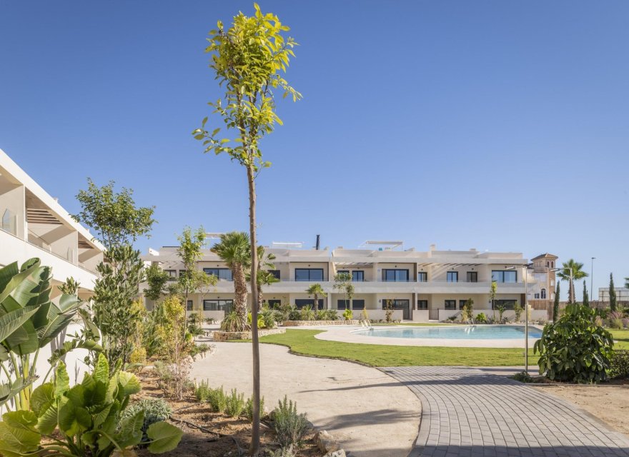 Obra nueva - Bungalow - Torrevieja - Villa Amalia