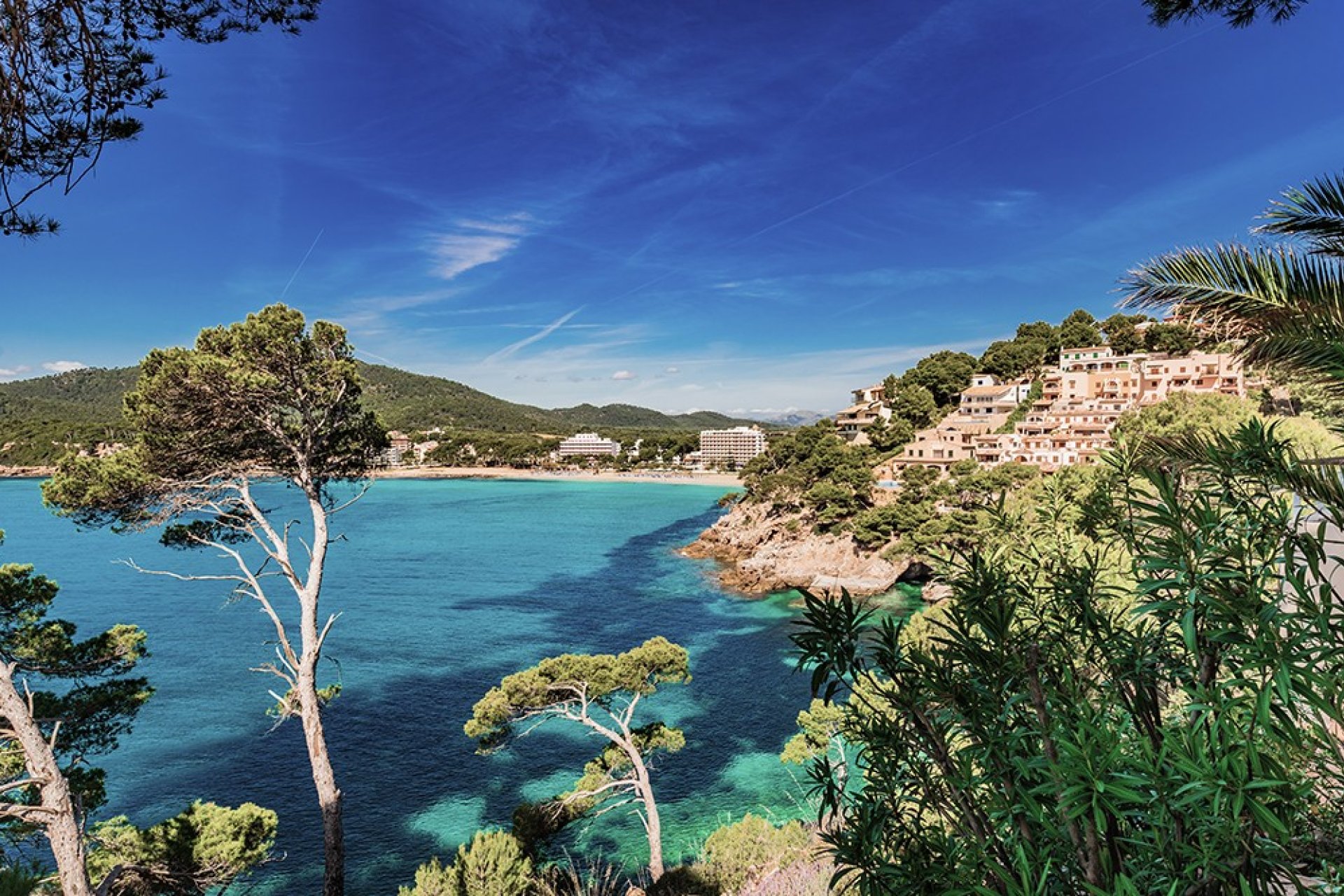 Obra nueva - Duplex - Capdepera