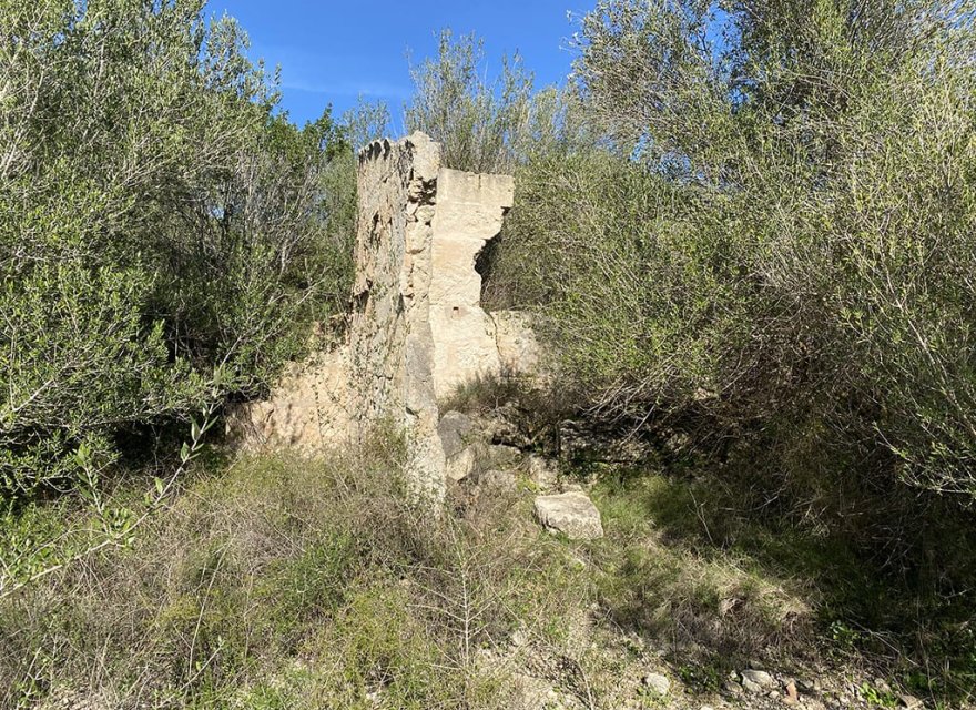 Obra nueva - Parcela - Muro