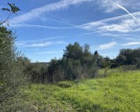 Obra nueva - Parcela - Muro