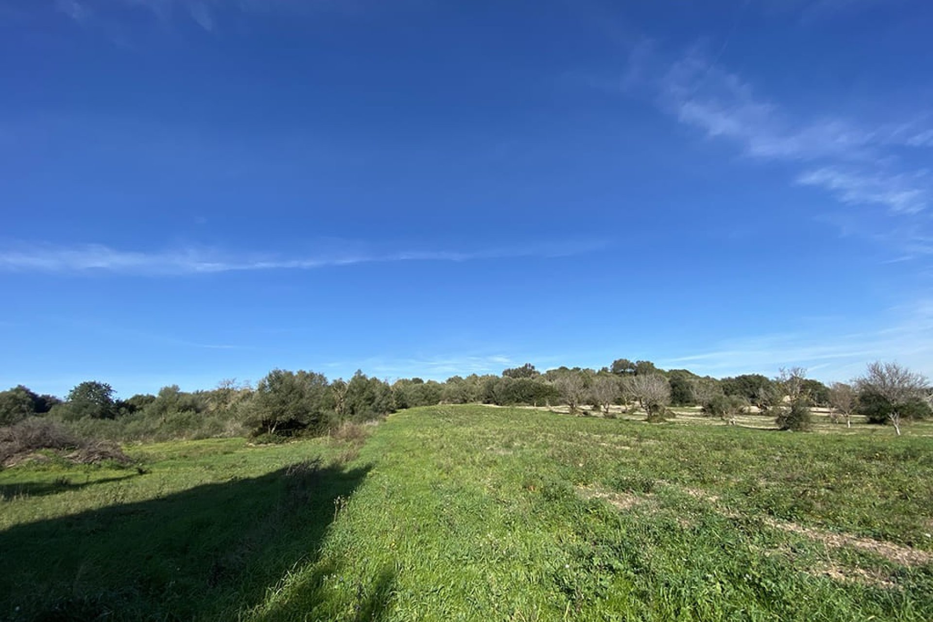 Obra nueva - Parcela - Muro