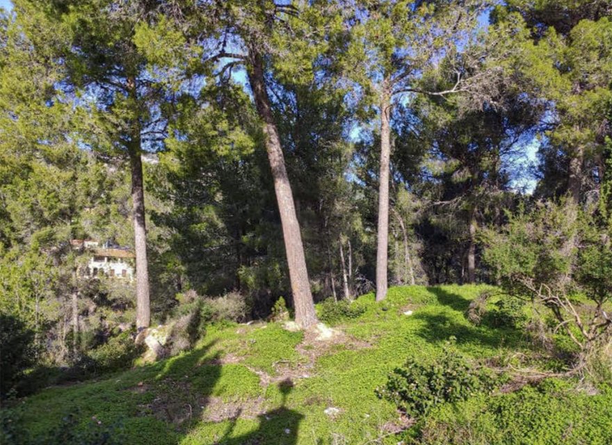 Obra nueva - Parcela - Palma de Mallorca - Son Vida