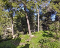 Obra nueva - Parcela - Palma de Mallorca - Son Vida