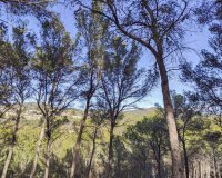 Obra nueva - Parcela - Palma de Mallorca - Son Vida