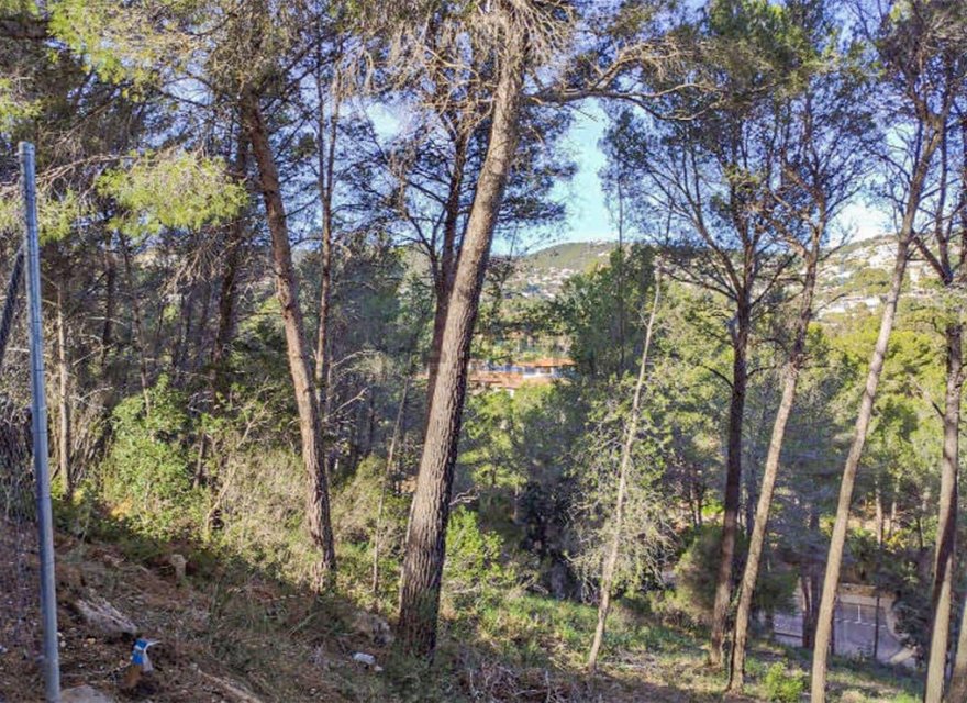 Obra nueva - Parcela - Palma de Mallorca - Son Vida