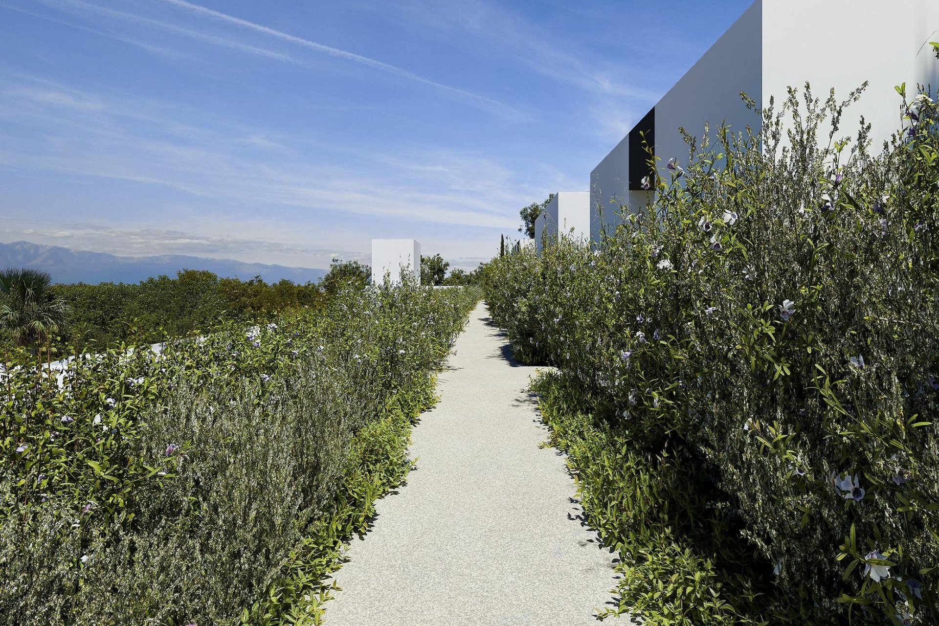Obra nueva - Villa - Albir - Barranc Fondo