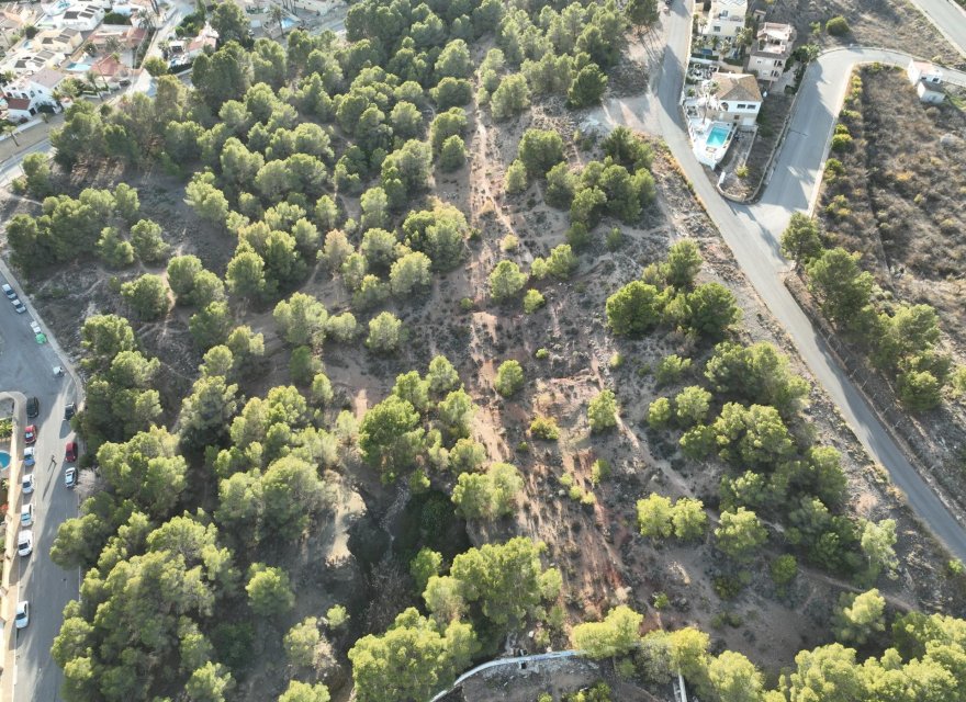 Obra nueva - Villa - Albir - Escandinavia