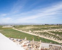 Obra nueva - Villa - Algorfa - La Finca Golf