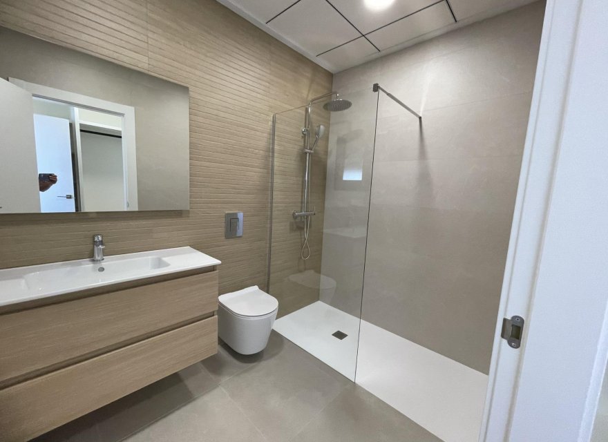 Obra nueva - Villa - Almoradí - Heredades