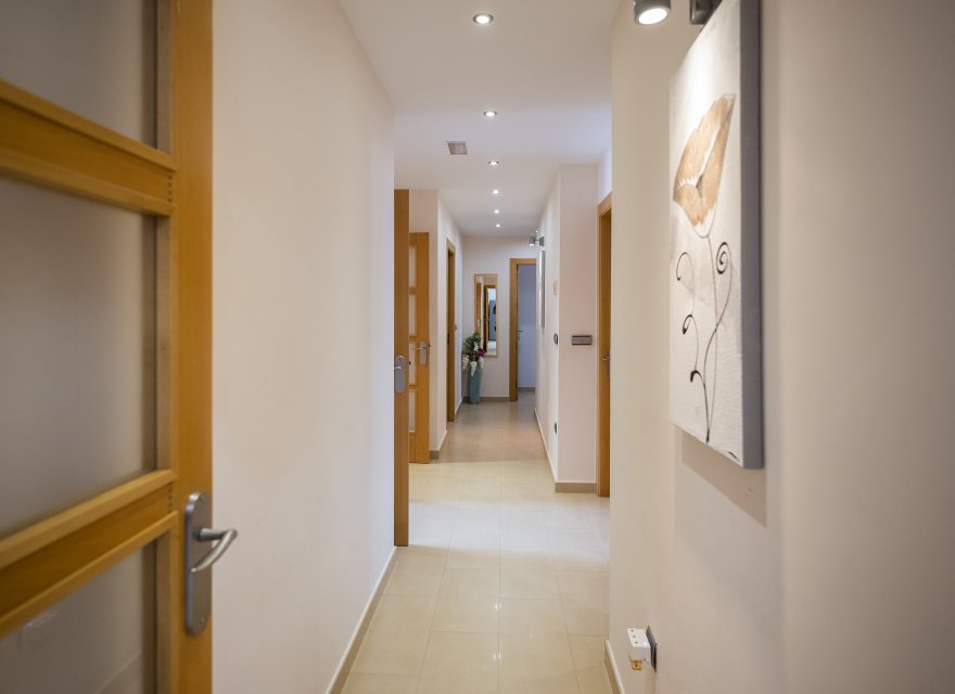 Obra nueva - Villa - Avileses - Jerónimo y Avileses