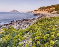 Obra nueva - Villa - Benissa - Cala Advocat