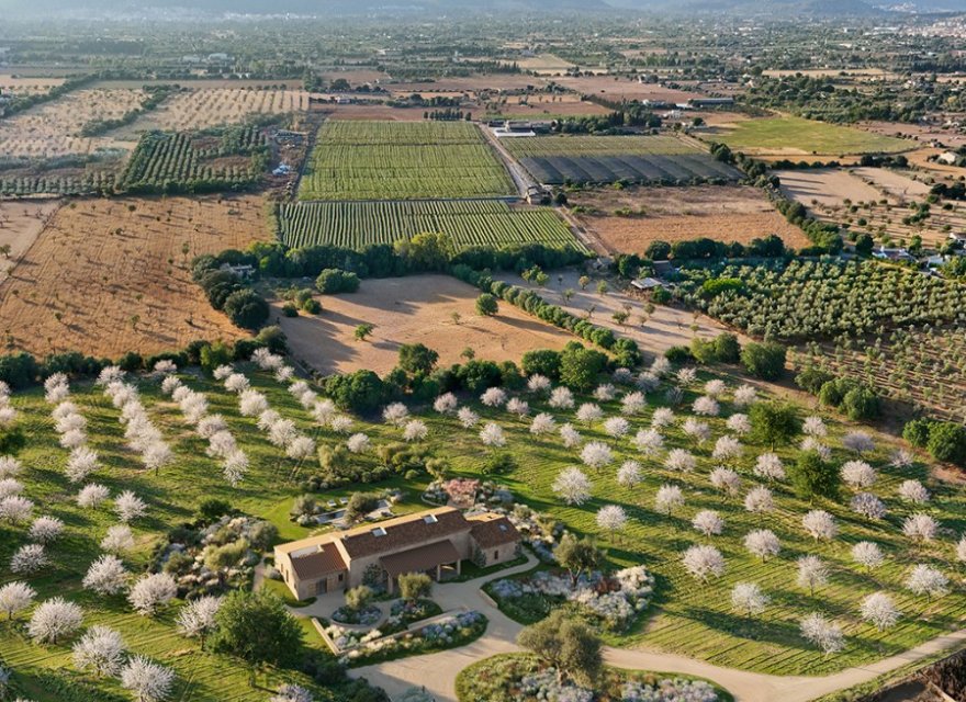 Obra nueva - Villa - Binissalem