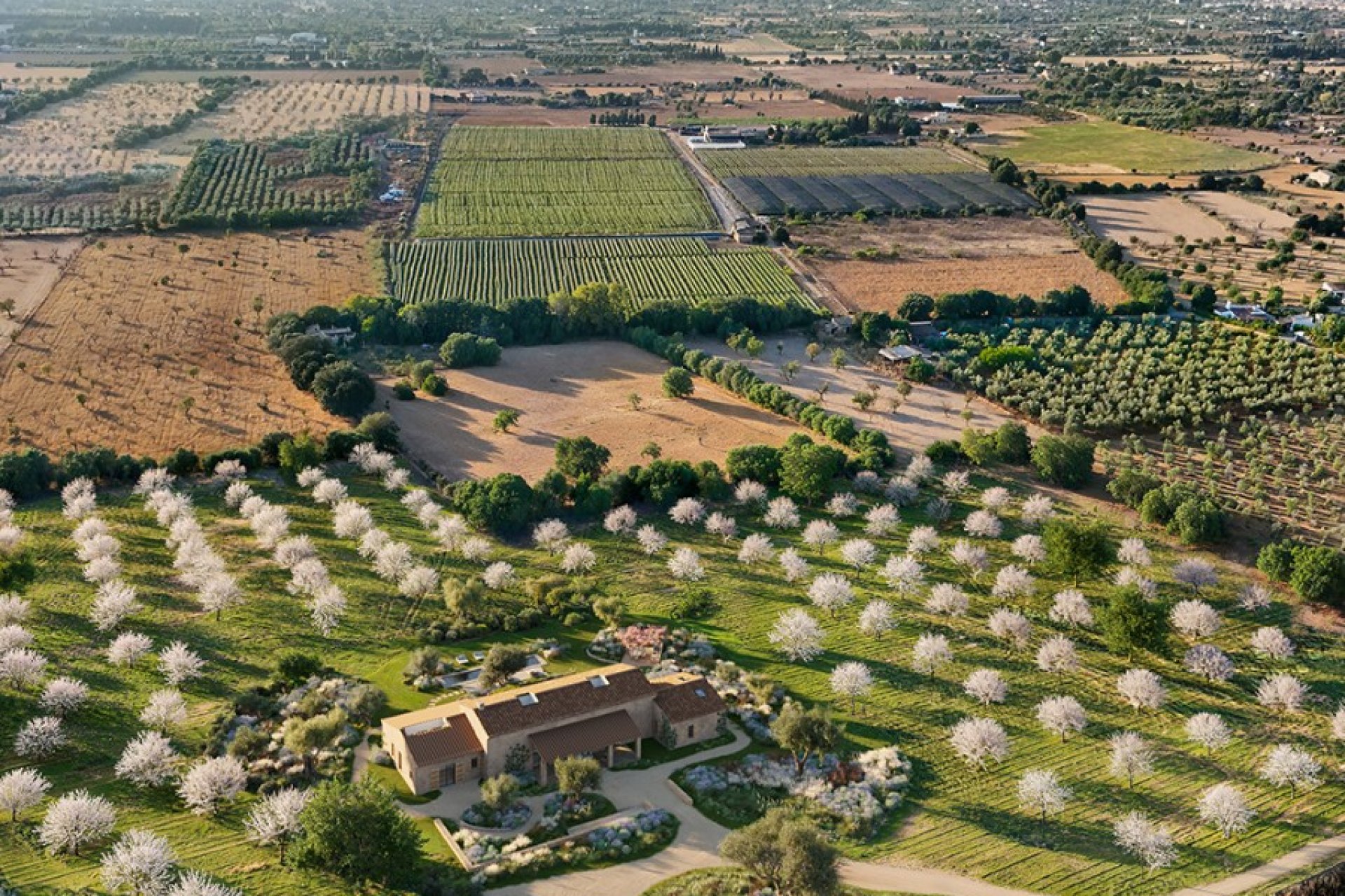 Obra nueva - Villa - Binissalem