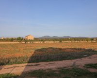 Obra nueva - Villa - Campos