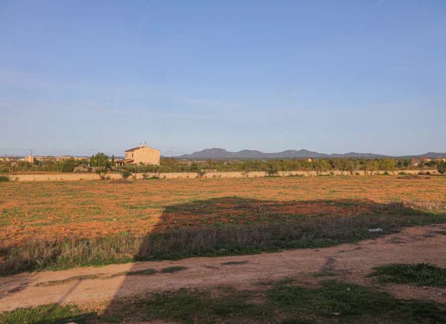 Obra nueva - Villa - Campos