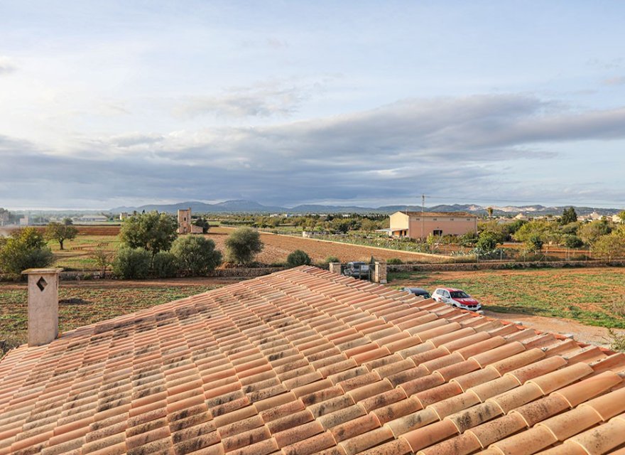 Obra nueva - Villa - Campos