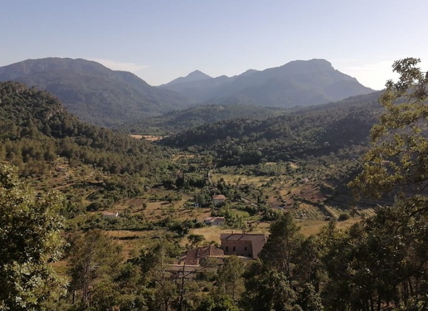 Obra nueva - Villa - Esporles