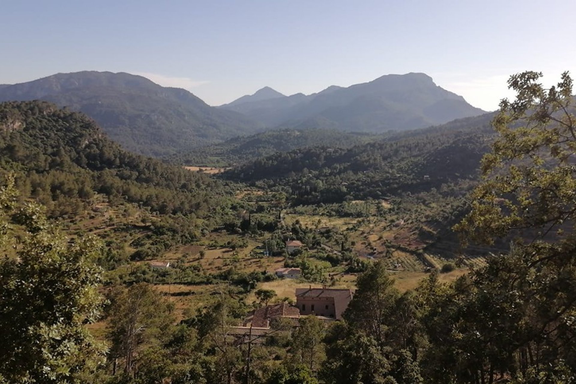 Obra nueva - Villa - Esporles