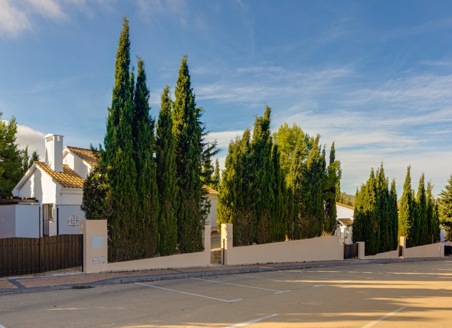 Obra nueva - Villa - Fuente Álamo - Fuente Alamo