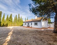 Obra nueva - Villa - Fuente Álamo - Fuente Alamo