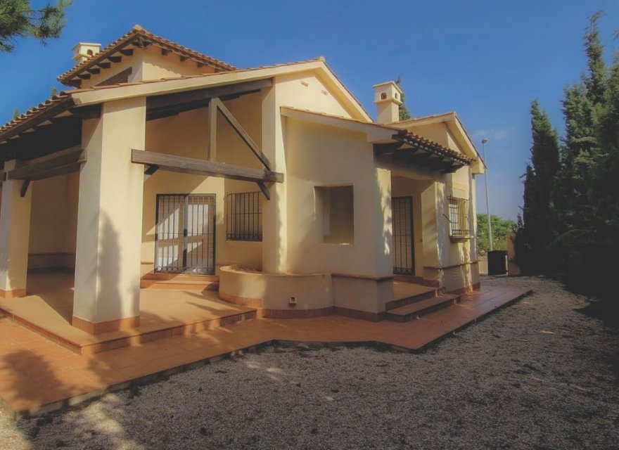 Obra nueva - Villa - Fuente Álamo - Las Palas